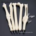 /msite/products/detail/productid/61262487/id/1346087.html